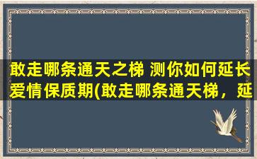 敢走哪条通天之梯 测你如何延长爱情保质期(敢走哪条通天梯，延长爱情保鲜期的秘诀)